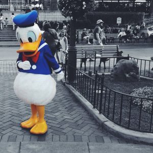 Donald Duck Day