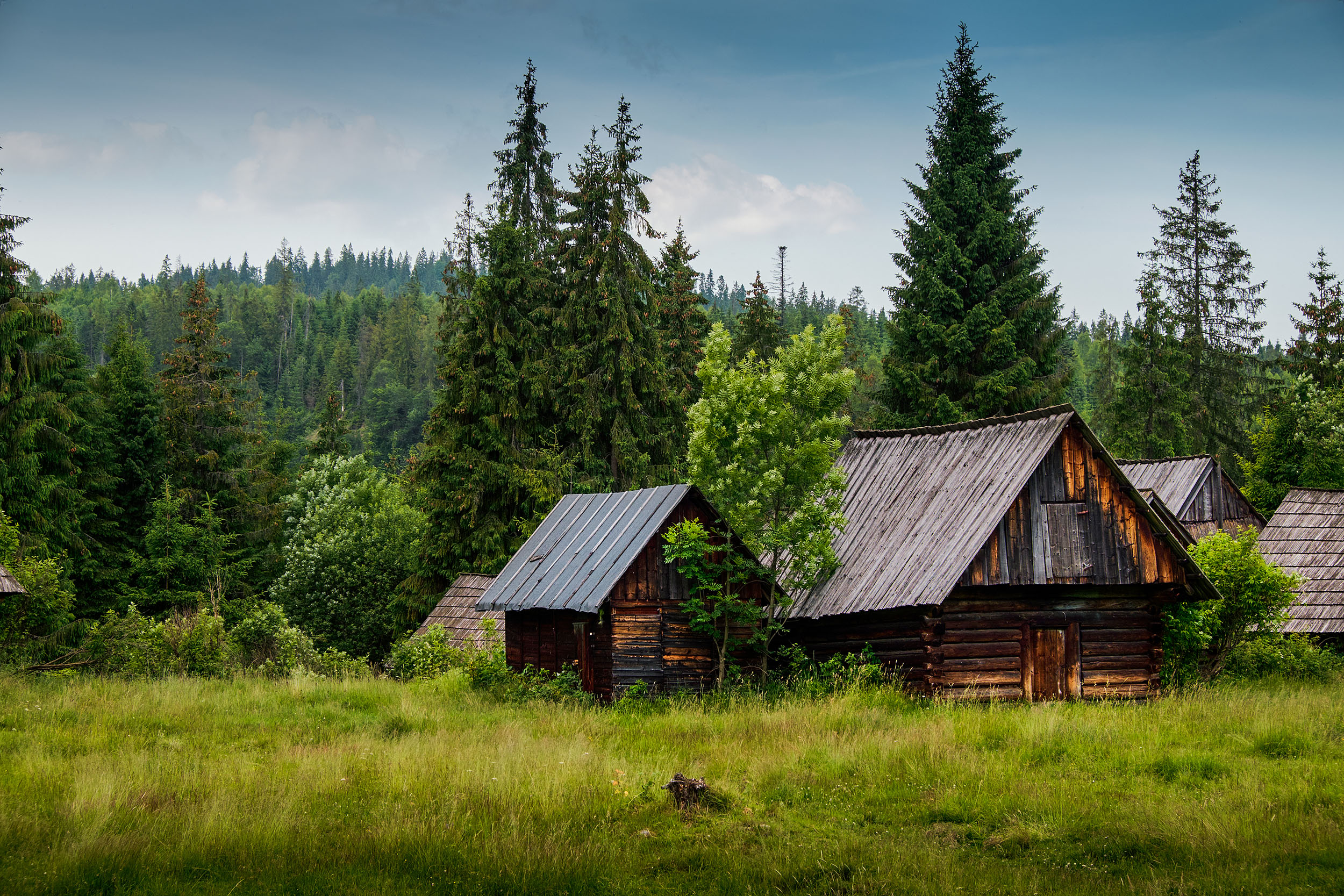 Log Cabin Day