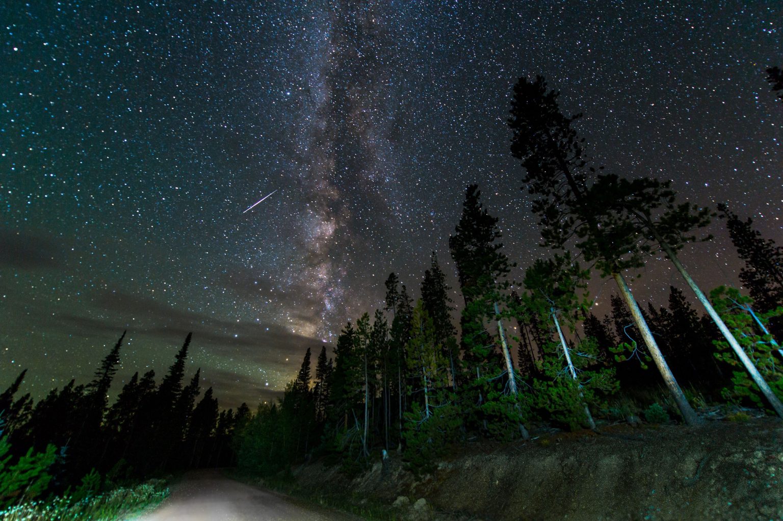 Meteor Watch Day - Social Media Events