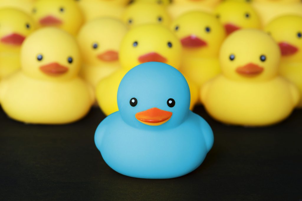 Rubber Duckie Day