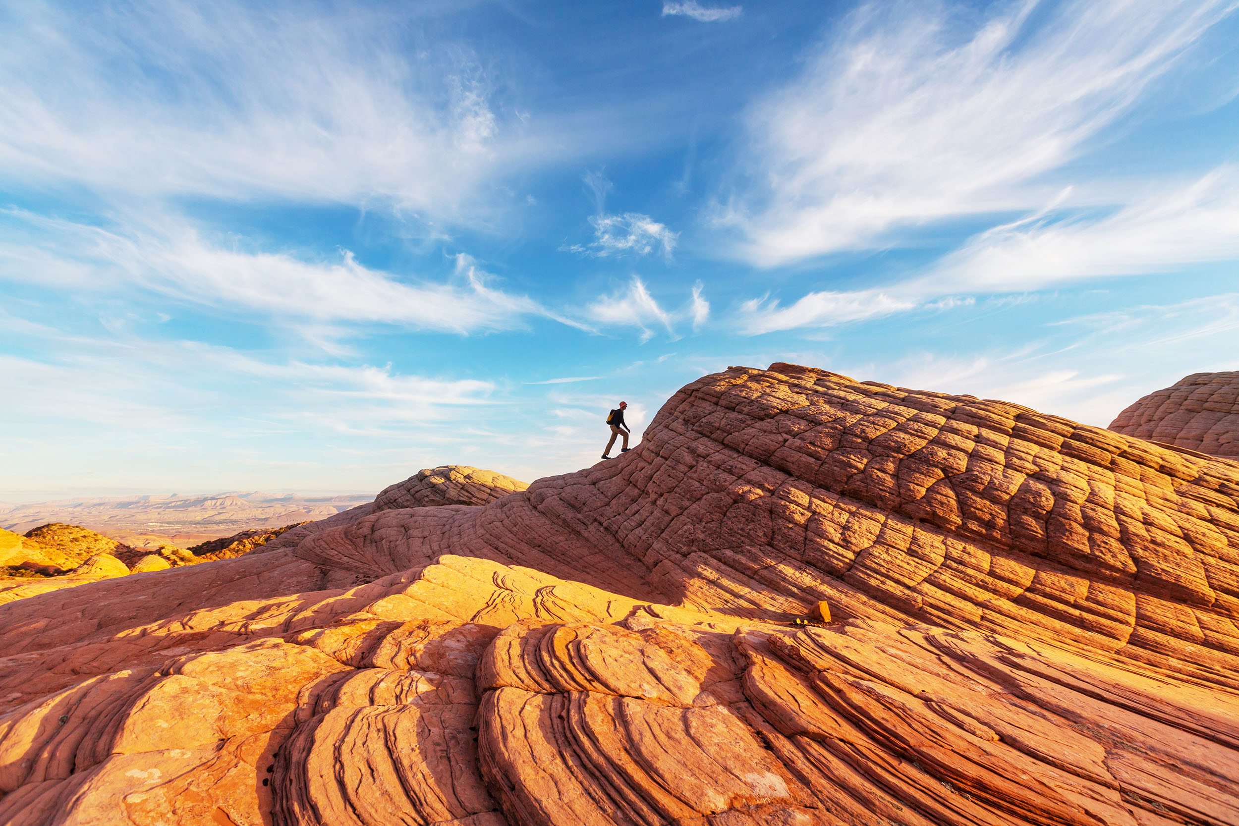 National Utah Day