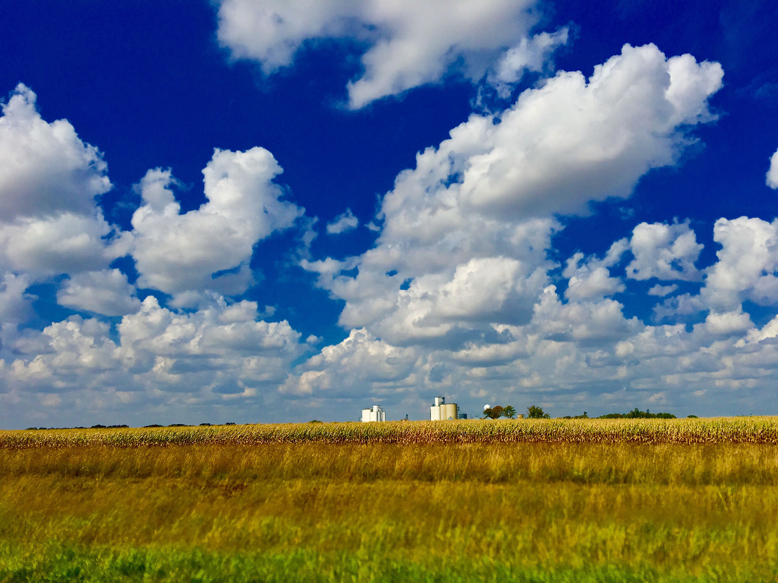 National Iowa Day